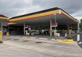 Shell: Liphook Shell 2025.jpg